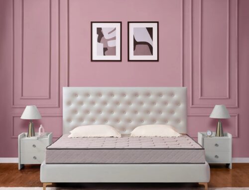 Kurlon Klassic Popular Coir Mattress